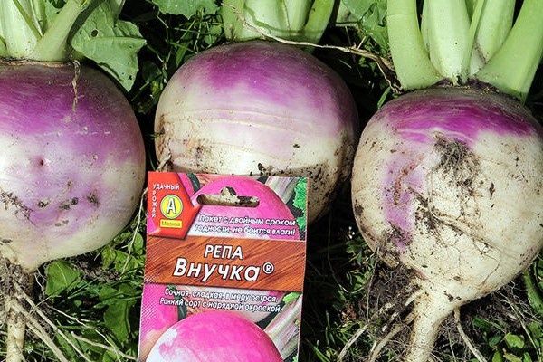 ���� ������: ��� ������ ���� ���� ���������?