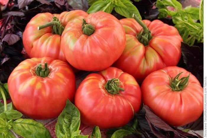 ����� ��������: ������� �������������� ����� ��� ������ �������