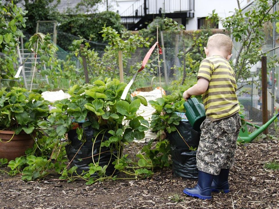 ��� ���� ����� ��������� ���� ������: ����������� ������