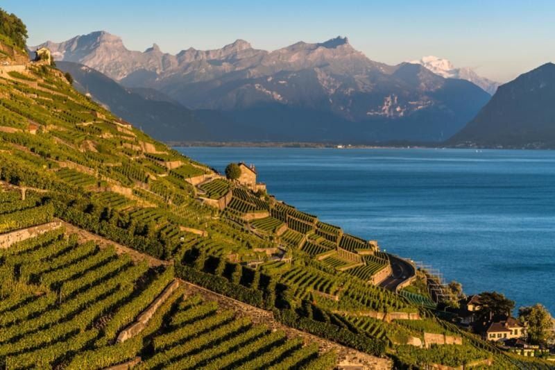 ���� ��� ���������� ��������: ���� ���������� ��������