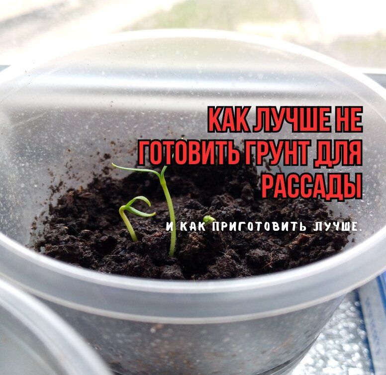 ��� ��������� ����� �����: ��� ������� ������� � �������� ������� � ��� ������� ������