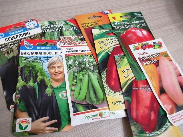 ����� ����� �� 2026 ���: ��� ������� ��������� � ��� ������� ������