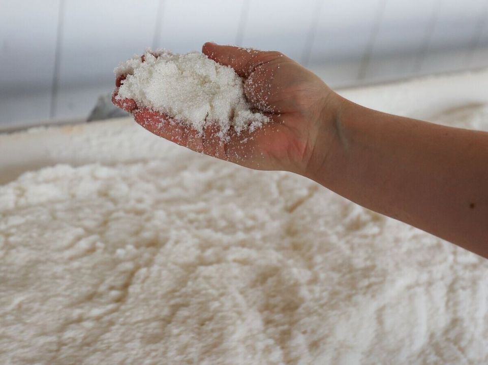 Наблюдение за сахарным рынком: как баланс между сахаром и этанолом влияет на цены