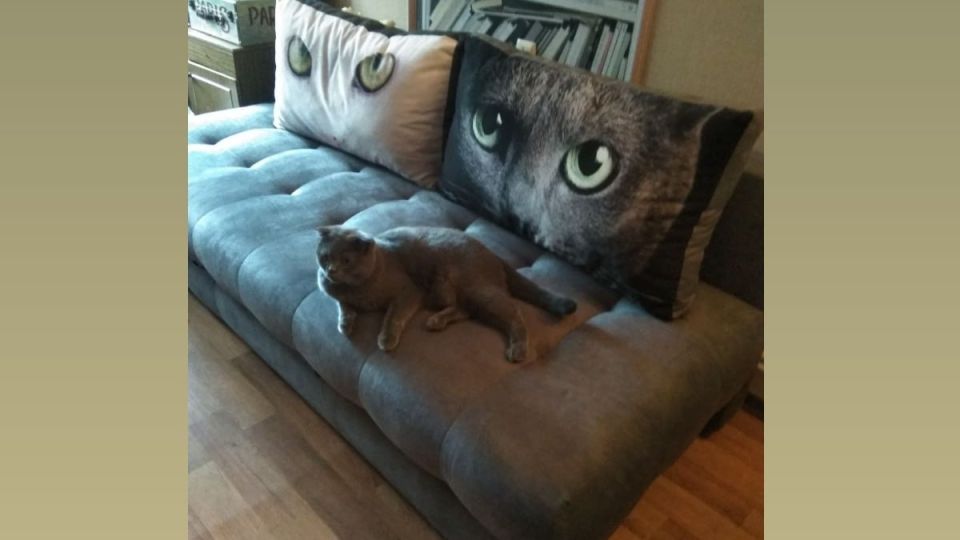 Как справиться с пятнами на диване подручными средствами и сохранить ткань