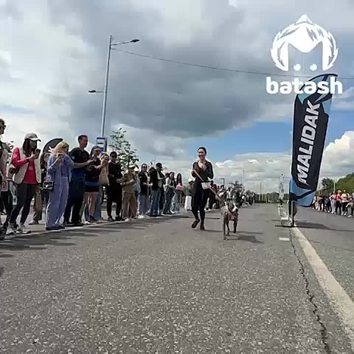 ,        