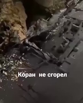      ,   ,    