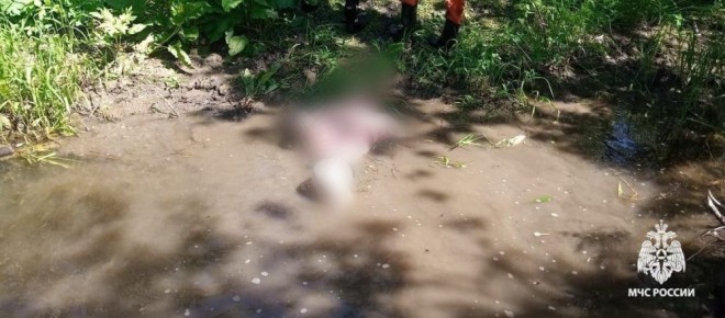   .     ,              56- 