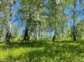   , 30     