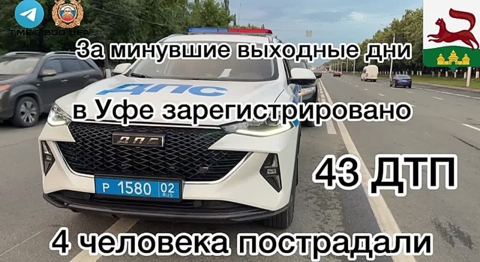            43 - ,  4 