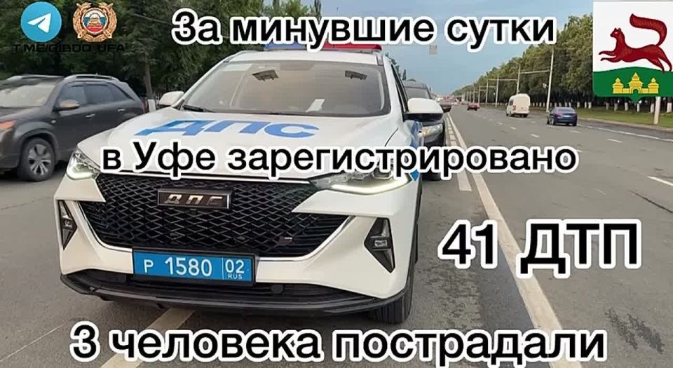           41 - ,  3 