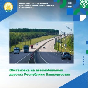 -        08:00  11  2025 