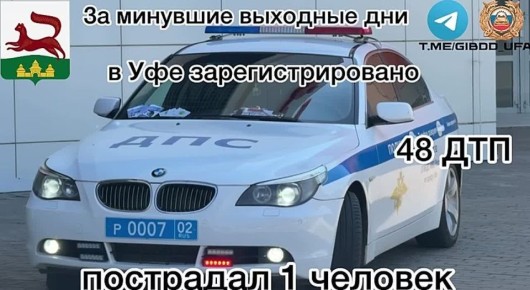            48 - ,  1 