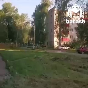        ,   