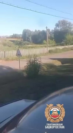    15-   