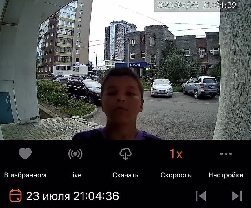       ,       