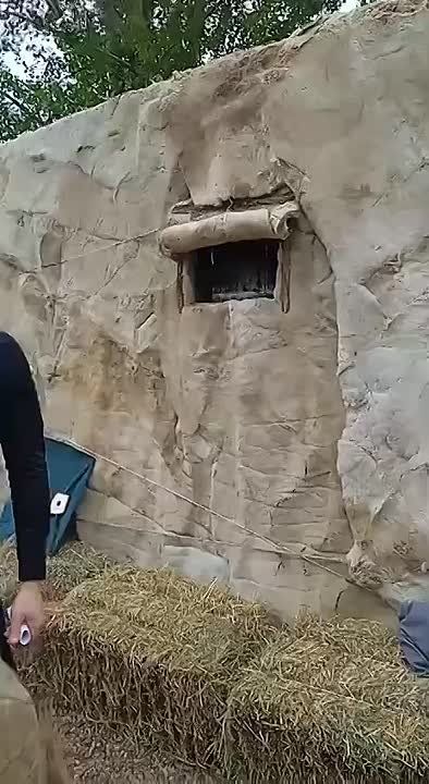   &quot; &quot;       