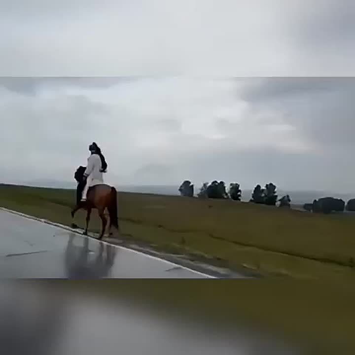    ,   ,    