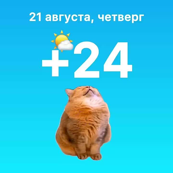  , .    ,   ,    ,     