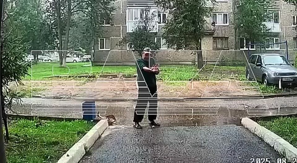          ,  