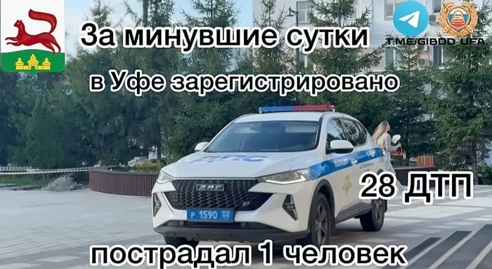           28 - ,  1 
