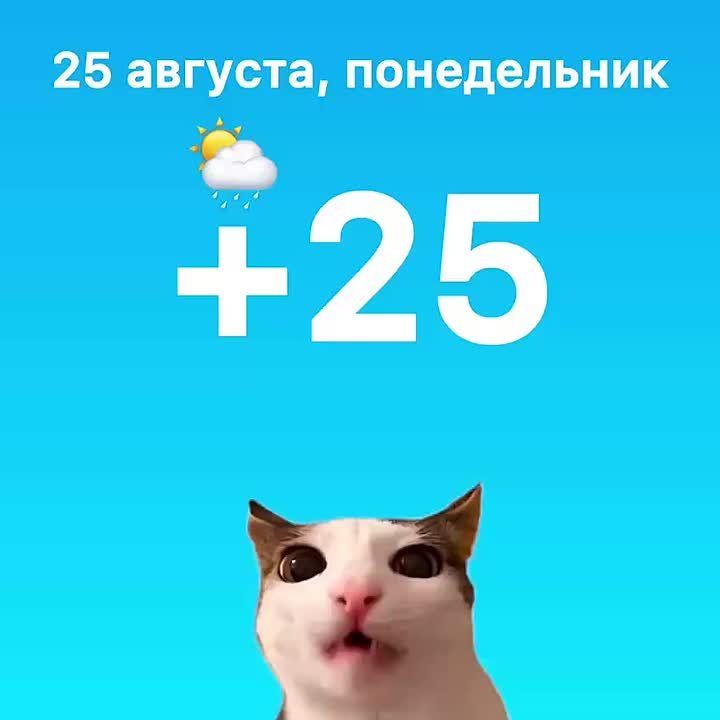  .      ,     @allufa25