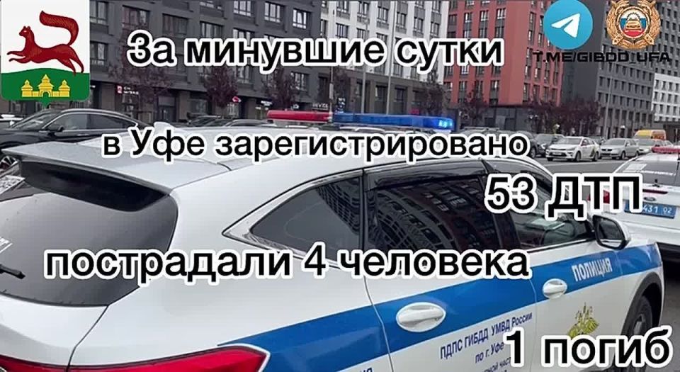           53 - ,  4 , 1 