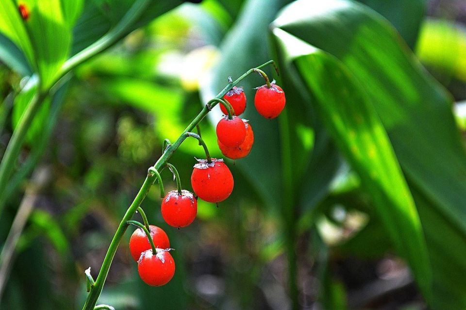 2-      