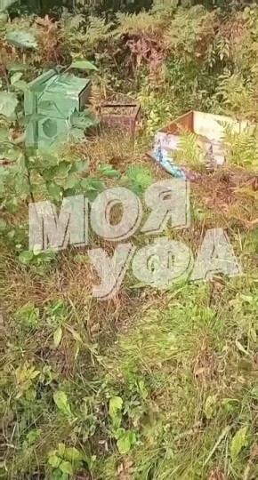   .     ,       ;          ,  