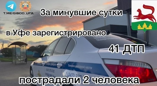           41 - ,  2 