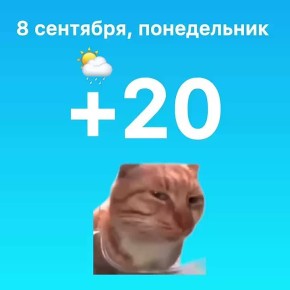   , 
