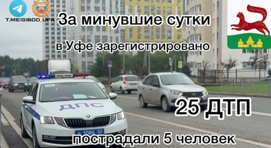           25 - ,  5 