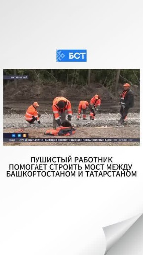  !.   