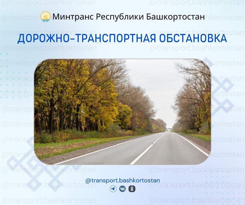 -        08:00  19  2025 