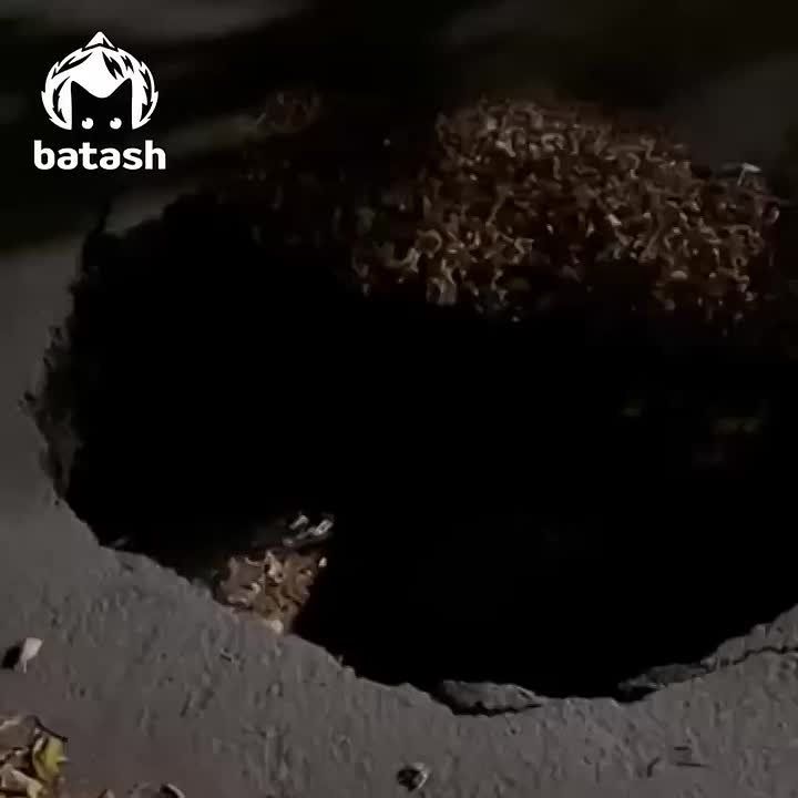      :    