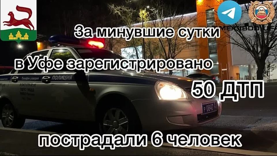           50 - ,  6 