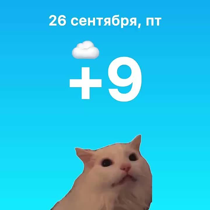 На улице сегодня будет не выше +9, обещают сухую погоду