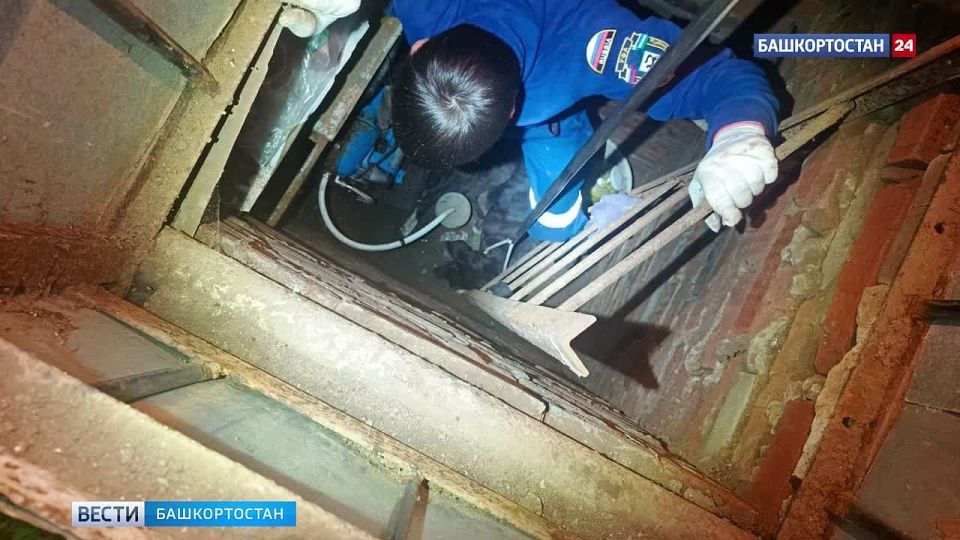Дворняга провалилась в погреб в Уфе