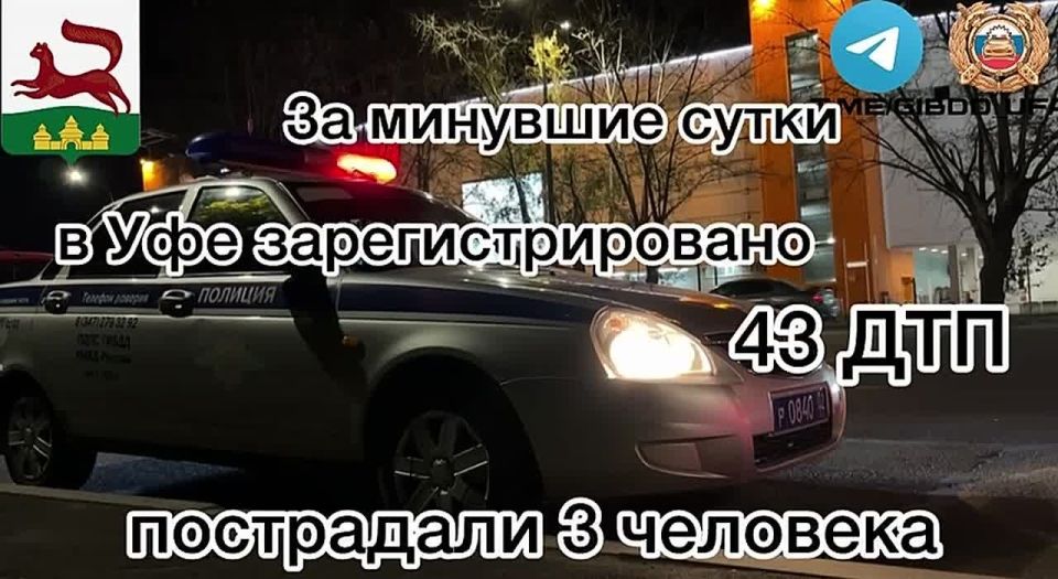           43 - ,  3 