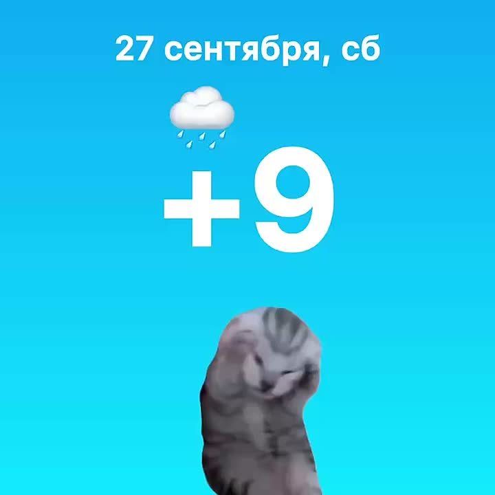 Весь день — дождь! Такой прогноз у синоптиков на сегодня