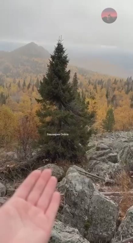 Первый снег пошел и на горе Малиновая в Белорецком районе