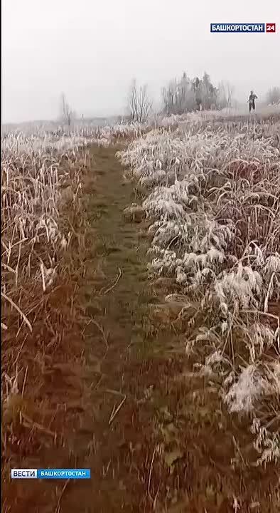 На горе Иремель в Башкирии выпал первый снег