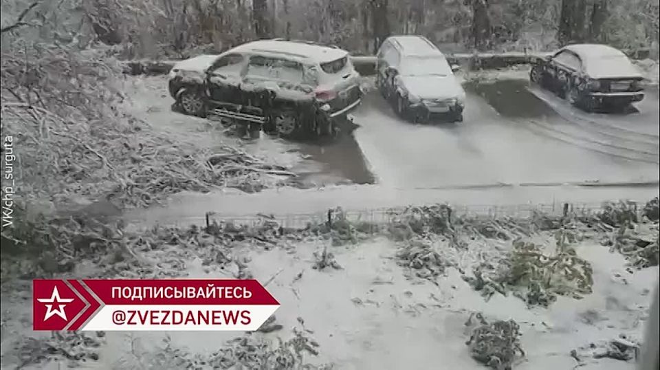 С первым снегом можно поздравить жителей Урала - сегодня их замело по полной программе