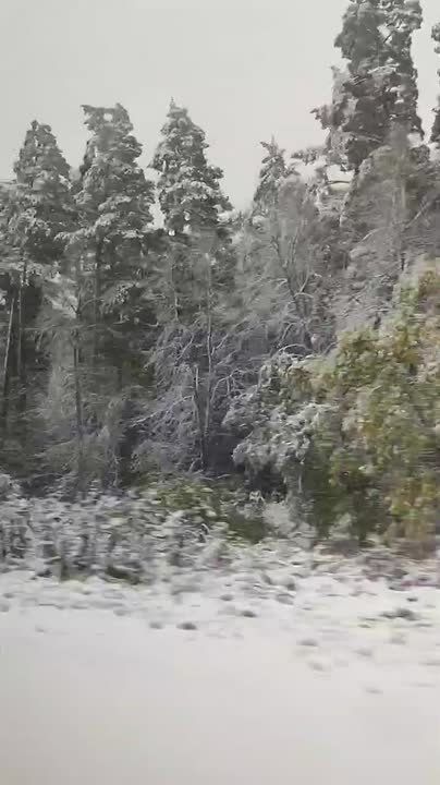 Зима крадется: снег пошел в Башкирии, Екатеринбурге и Челябинске