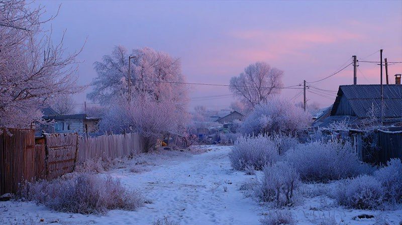      -9C