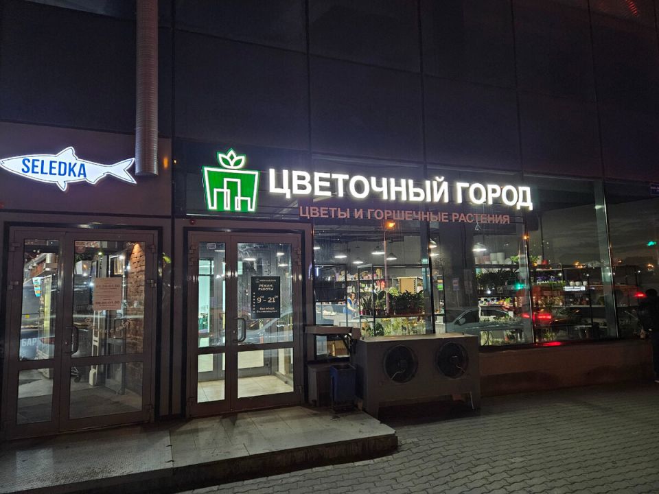     :     