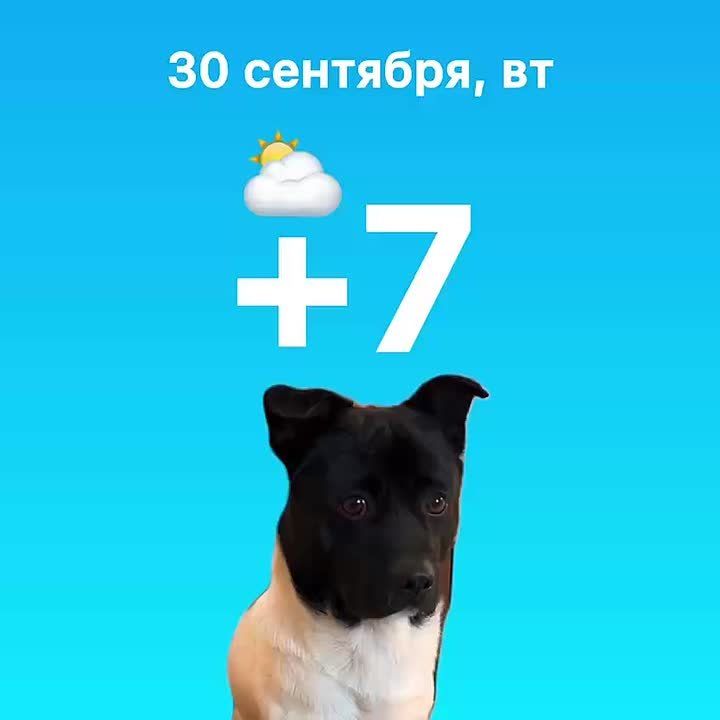 В первой половине дня прогнозируют пасмурную погоду, а вот после обеда должно выглянуть солнце