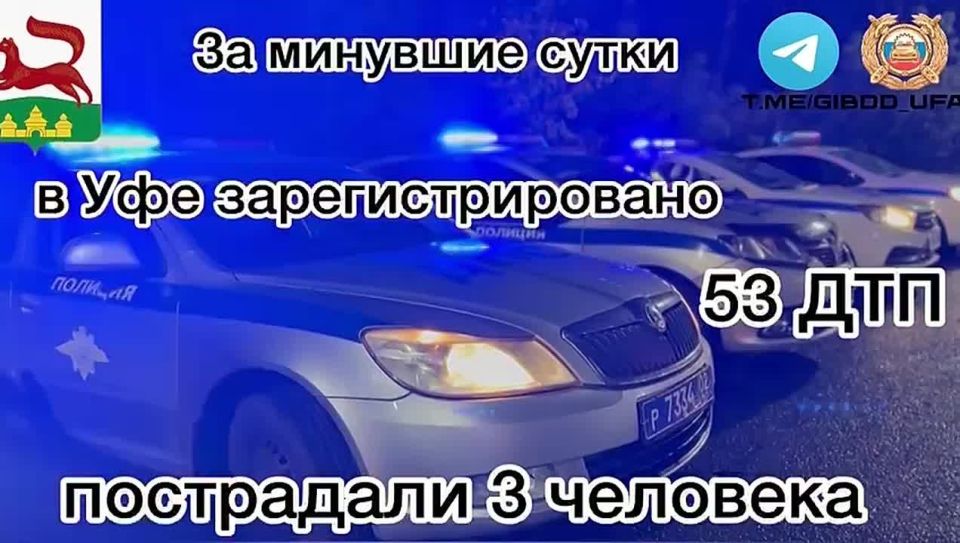           53 - ,  3 