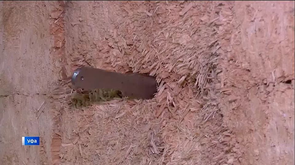 Как в Башкортостане развивается спортивное метание ножей - сюжет "Вестей"