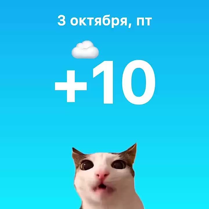   !.   : +10,    