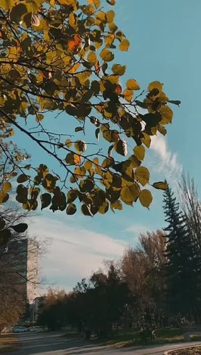     !          ?